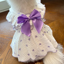 Pet Summer and Spring Dresses