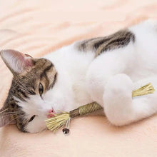 Cat Silvervine Stick Chew Toy