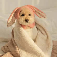 Rabbit Ears Dog Hat