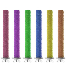 Colourful Parrot Claw Stick