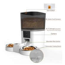 smart automatic dog feeder