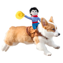 Funny Cowboy Dog Costume