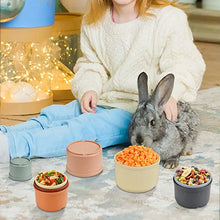 Stacking Cups Toy For Rabbits