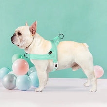Adjustable Padded Pet Vest