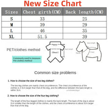 Winter Pet Jacket with D-Ring