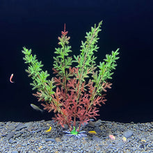 Aquarium Artificial Plant