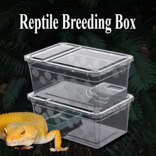 Transparent Vivarium Breeding Box