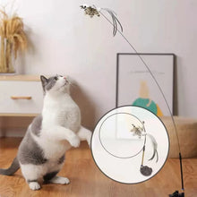 Interactive Cat Teaser Toy with Stick