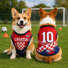 Croatia Pet Soccer Jersey Vest