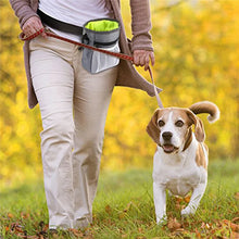 Outdoor Dog Treat Training Pouch