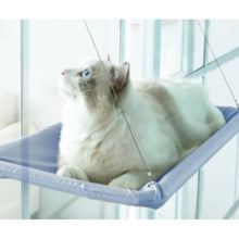 Colourful Aerial House for Kittens
