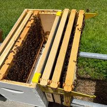 Metal Hive Frame Kit
