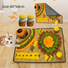 Large Interactive Snuffle Mat for Pets