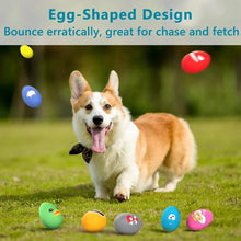 Bouncy Egg Squeaky Toy