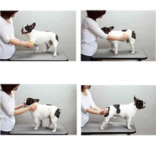 Pet Massage Brush & Hair Removal Comb