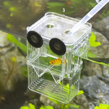 Aquarium Breeder Box for Betta Fish