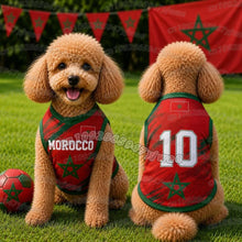 Puppy Football Summer Vest Outfit