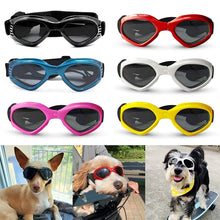 Fashionable Sunglasses for Pets