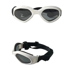 Pets Wear Sunglasses