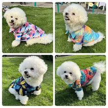 Hawaiian Inspired Beach Wear For Pets