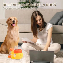 Anti-Slip Dog Puzzle Feeder