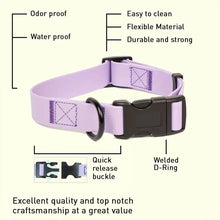 Adjustable Dog Collar and Leash Set for Small Medium Large Dogs