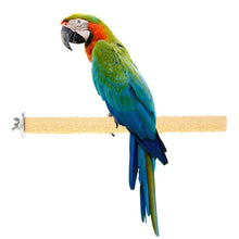 Colourful Parrot Claw Stick