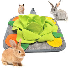 Rabbit Pet Feeding Training Pad
