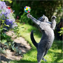 Durable Cat Toys Balls with Bells