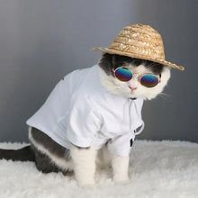 Vintage Round Pet Sunglasses