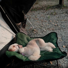 Foldable Pet Bed
