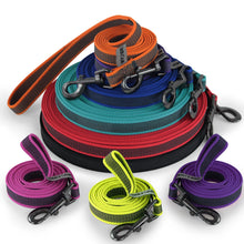 Long Dog Leash for Training