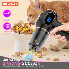 High Power Wireless Vacuum Cleaner