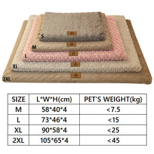 Orthopaedic Foam Dog Bed