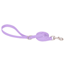 PVC Waterproof Dog Collar and Leash