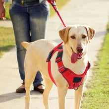No Pull Harness for Pets