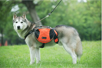 Saddle Bag Pet Harness Carrier