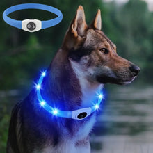 LED Luminous Dog Collar Waterproof