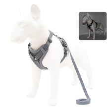 No Pull Dog Harness Set