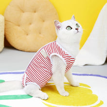 Cat Recovery Clothes