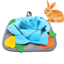 Rabbit Pet Feeding Training Pad