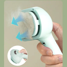 Pet Steam Brush