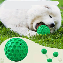 Tough Rubber Dog Chew Ball