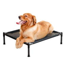 Elevated Folding Pet Bed