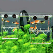 Aquarium Breeder Box for Betta Fish