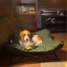Foldable Pet Bed