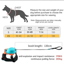 2-In-1 Dog Harness With Retractable Leash