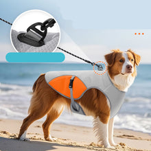 Cooling Vest Dog Harness