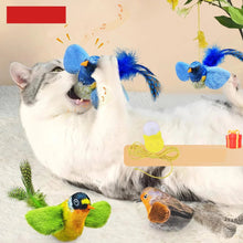 Interactive Indoor Teasing Cat Toy