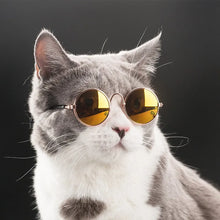 Vintage Round Pet Sunglasses